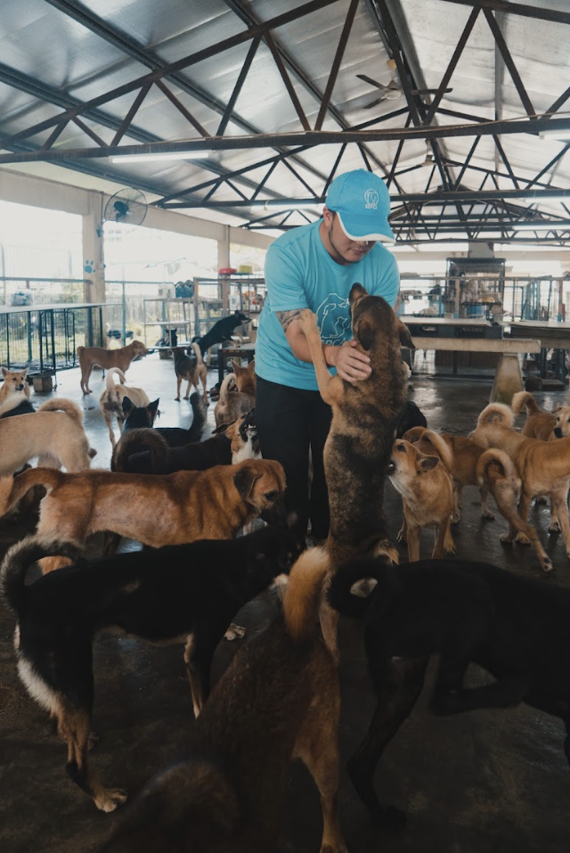 sspca-human-dog